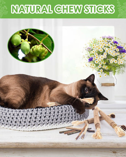 TINDTOP Silvervine Sticks for Cats, 10 Pack Natural Catnip Chew Toys for Kittens Teeth Cleaning, Matatabi Dental Care, Increase Appetite, Calm Cat Anxiety and Stress, Aggressive Chewers Cat Dental Toy