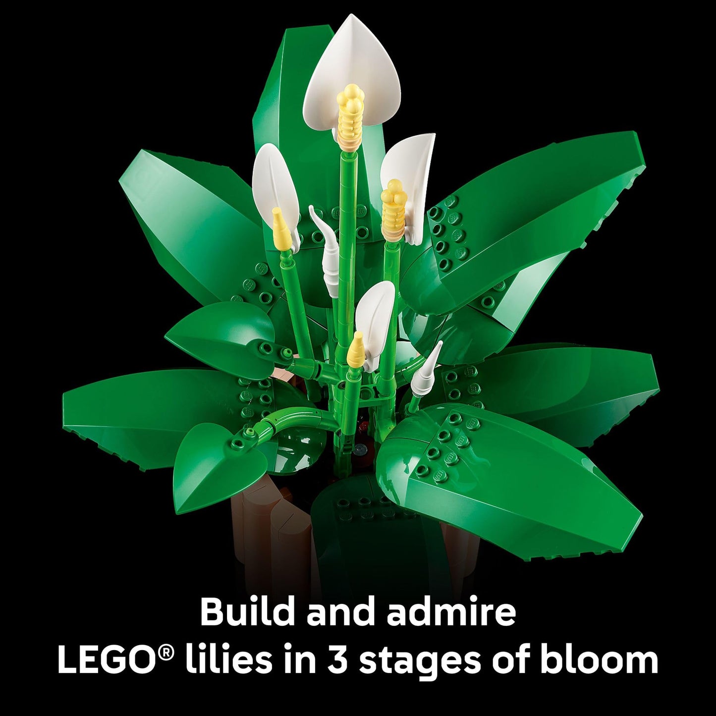 LEGO Botanicals Peace Lily Flower Building Set for Adults - DIY Bedroom, Book Shelf & Office Decor for Women & Men, Ages 18+ - Artificial Flowers Crafting Kit - Gift Idea for Birthdays - 11504 🍁 All In One Marketplace Canada