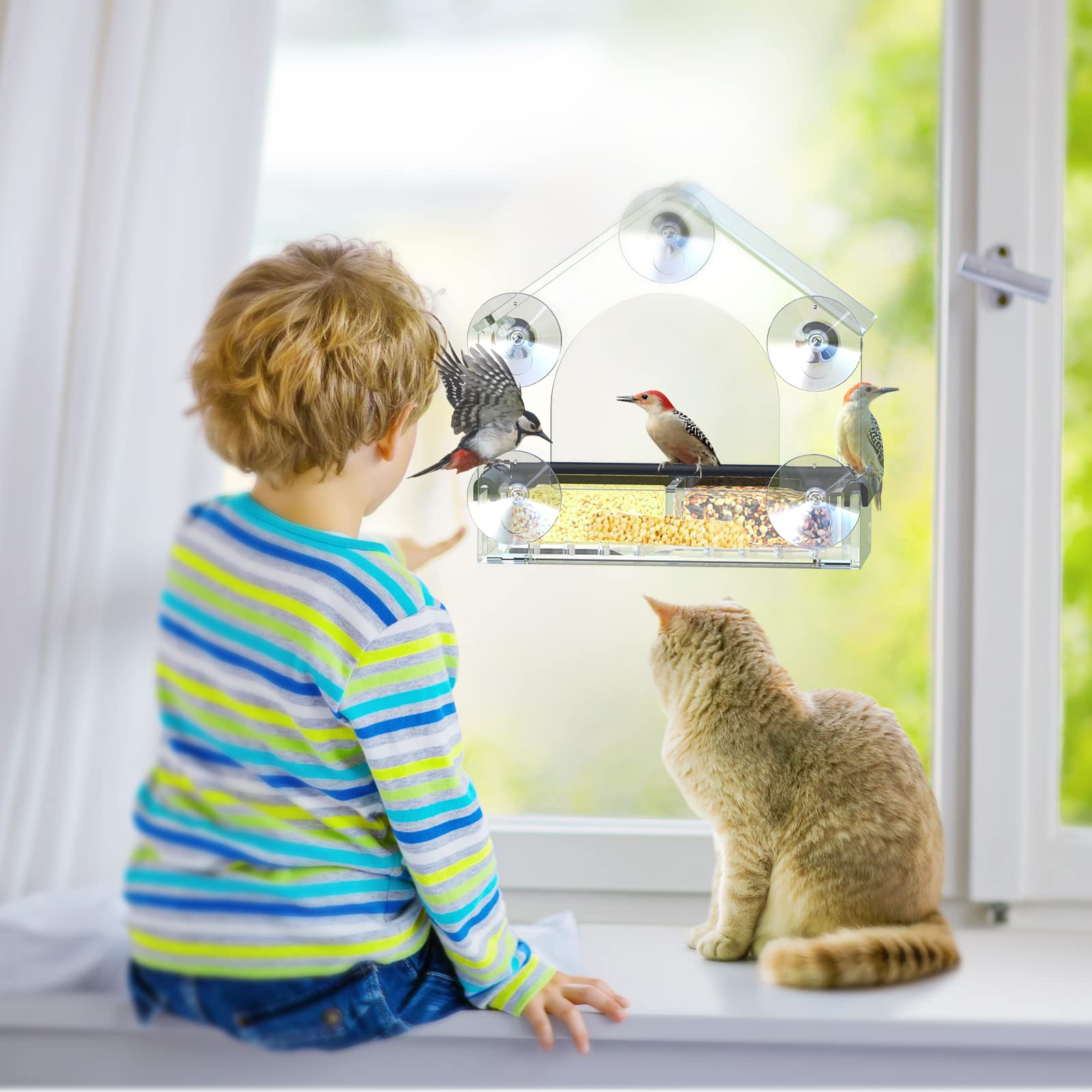 Clear Window Bird Feeder with 5 Extra Strong Suction Cups, DY-SKTY Sturdy and Durable Acrylic Birdfeeders for Viewing Wild Birds Outside, as a Bird Watching Gift, Outdoor Birdhouse Box, Garden Decor - Available at All In One Marketplace Canada