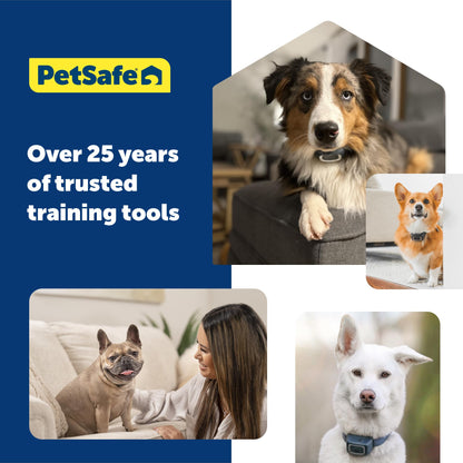 PetSafe Citronella Spray Can Refill for Dog Spray Bark Control Collars and Remote Trainers - Available at All In One Marketplace Canada
