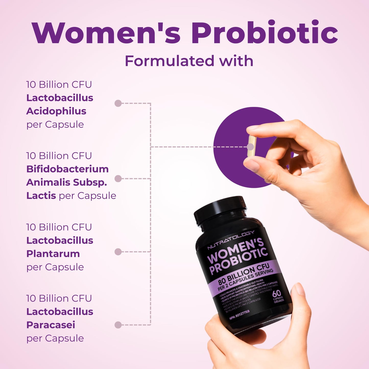 Nutratology® Probiotics for Women | Canadian-Made | 40 Billion CFUs per Capsule | Bloating Relief & Digestion | 4 Strains of Women's Probiotic for Gut Health | 60 Capsules