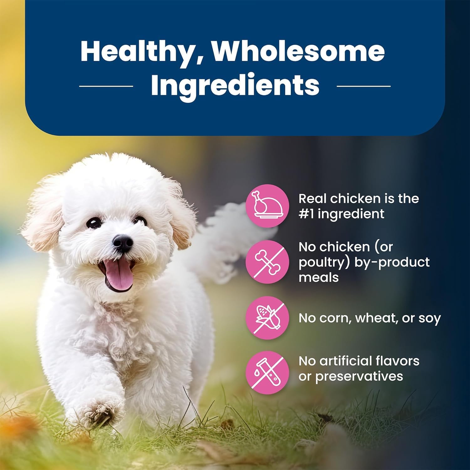 Blue Buffalo Life Protection Formula Small Breed Dog Food Natural Dry Dog Food for Adult Dog Chicken and Brown Rice 6 lb. Bag Small Bag