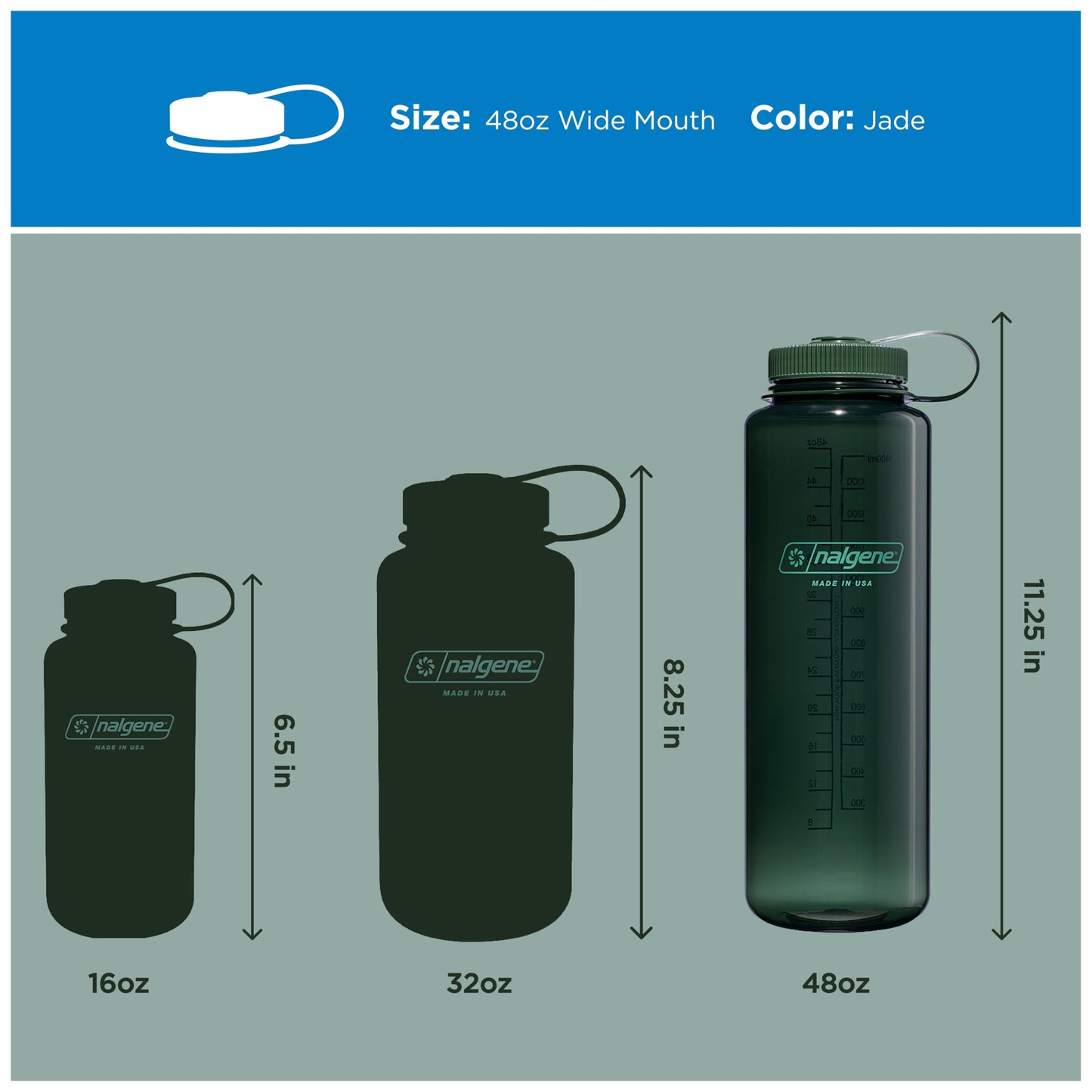 Nalgene 48 oz Wide Mouth Silo Water Bottle | BPA-Free, Durable & Leak Proof, Large & Lightweight for Hiking, Gym & Sports, Jade Nalgene