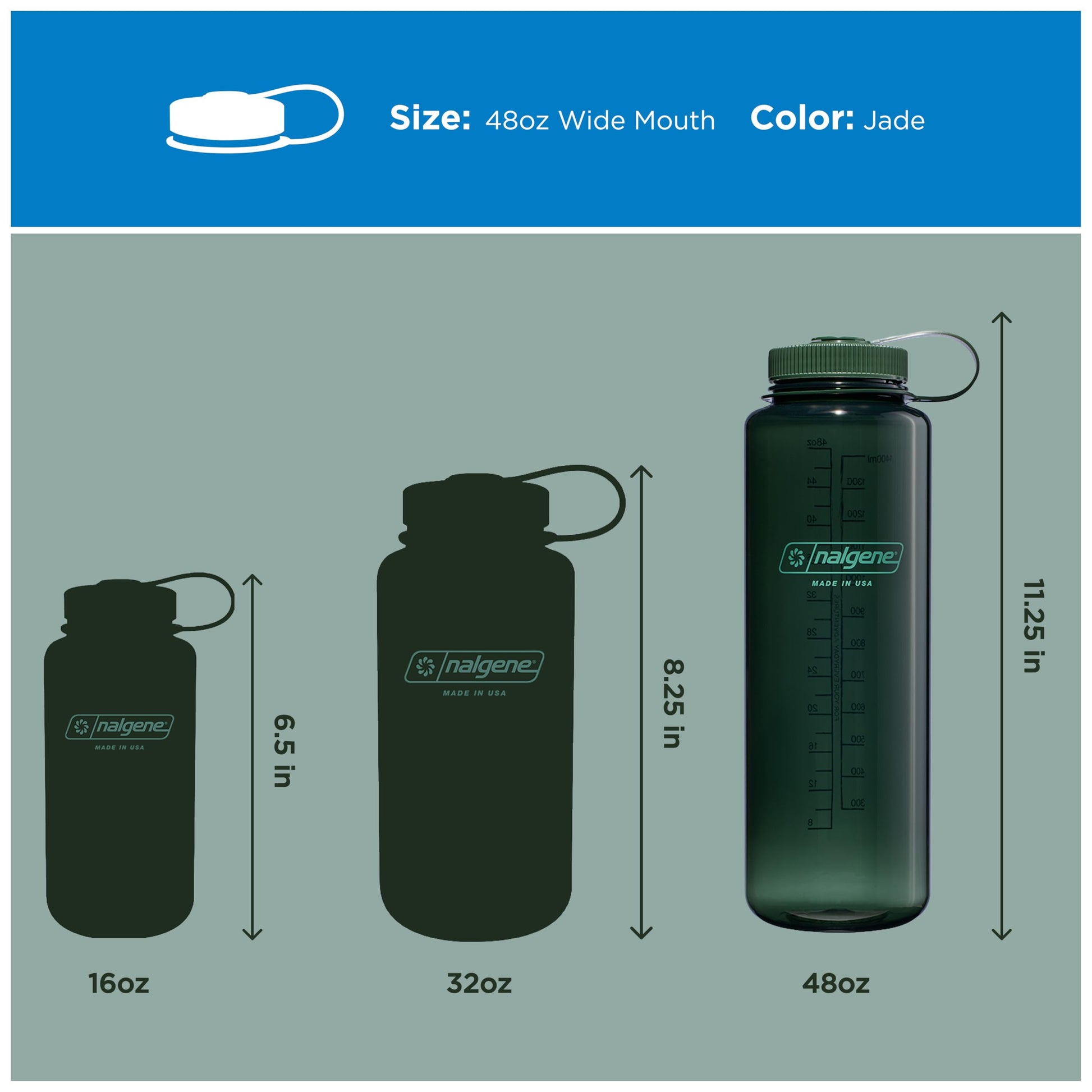 Nalgene 48 oz Wide Mouth Silo Water Bottle | BPA-Free, Durable & Leak Proof, Large & Lightweight for Hiking, Gym & Sports, Jade Nalgene