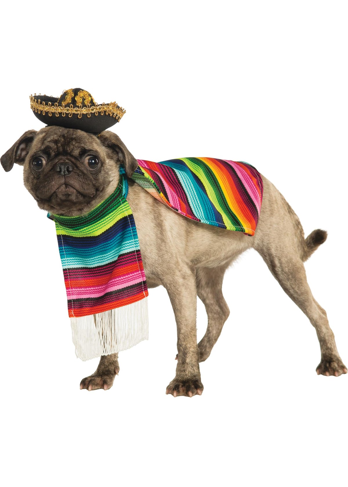 Rubies Costume Co Halloween Classics Collection Pet Costume, Medium, Mexican Serape
