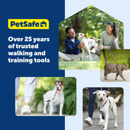 PetSafe Gentle Leader No-Pull Dog Headcollar - The Ultimate Solution to Pulling - Redirects Your Dog's Pulling for Easier Walks - Helps You Regain Control - Large, Charcoal 🍁 All In One Marketplace Canada