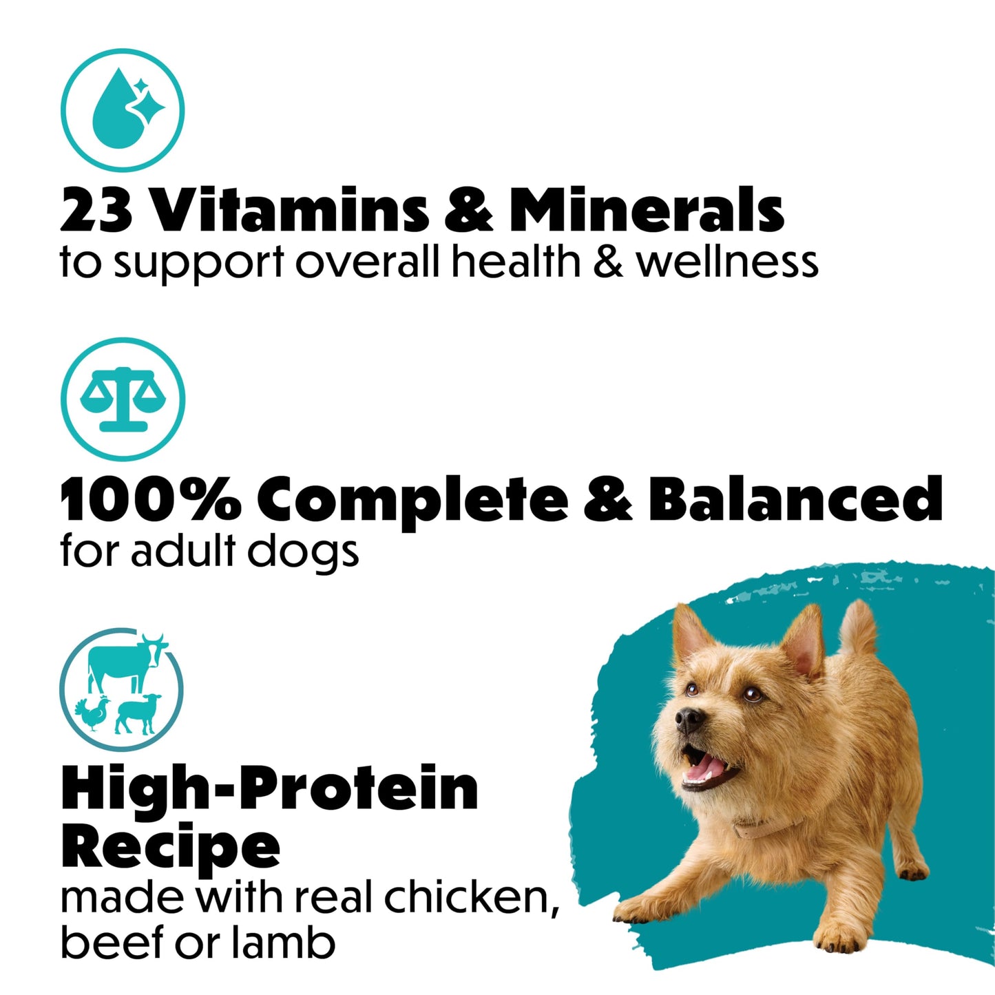 Beneful Incredibites Wet Dog Food, Lamb, Beef & Chicken in Sauce (24 Pack) Beneful