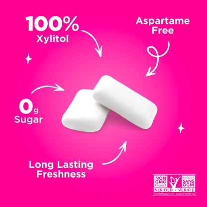 PUR Gum Variety Pack | Sugar-Free Chewing Gum Sweetened with 100% Xylitol | 8 Flavors, 55 Pieces Per Pack