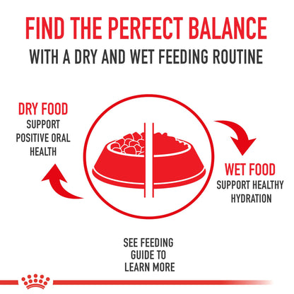 Royal Canin Feline Health Nutrition Sensitive Digestion Cat Food Dry Formula, Balanced Nutrition to Support Digestive Health, 7 lb Bag 🍁 All In One Marketplace Canada