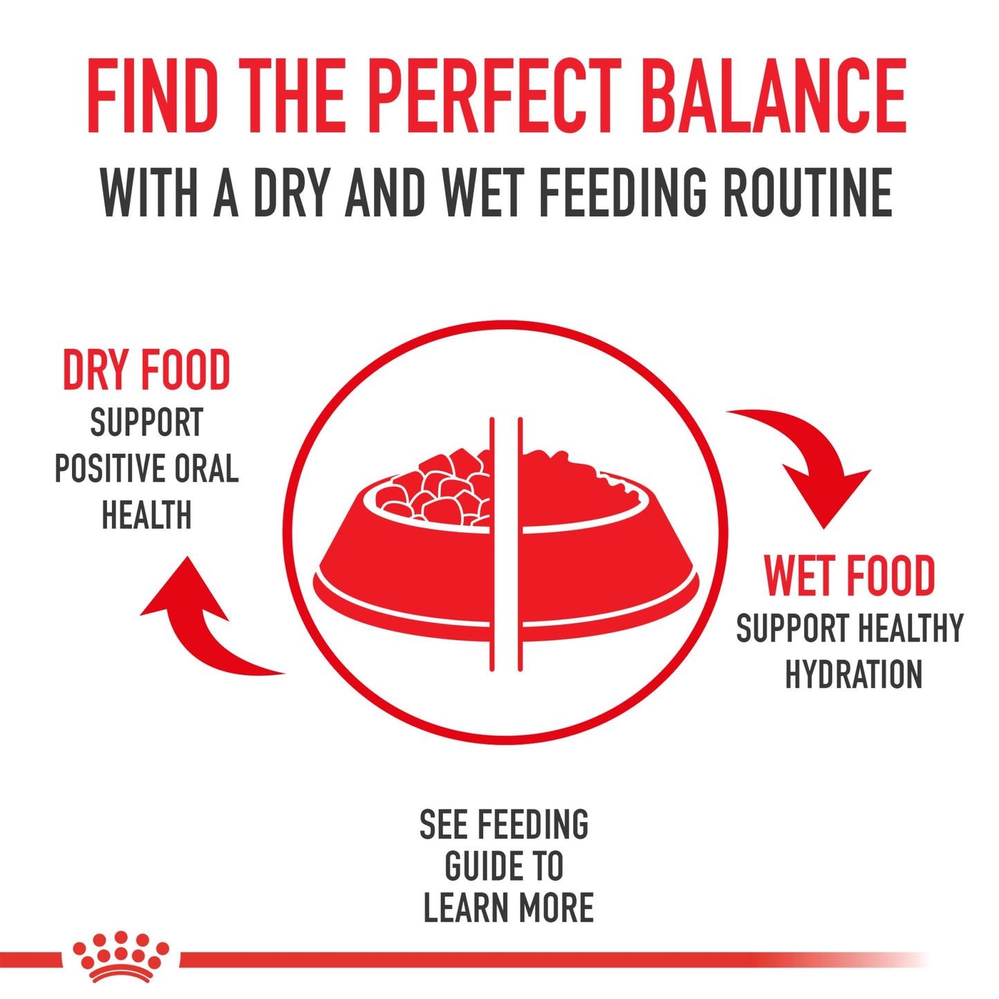 Royal Canin Indoor Adult Dry Cat Food, 15 lb bag 🍁 All In One Marketplace Canada