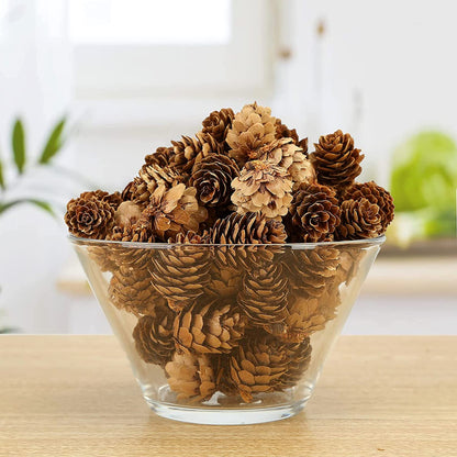 Natural Pine Cones, POTWPOT 100 Pieces Christmas Pinecones Small Pine Cones Bulk Christmas Pine Cones for Crafts Christmas Party Ornament DIY Home Decoration(2-3cm) 🍁 All In One Marketplace Canada