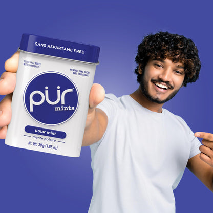 PUR Mints Polar Mint Xylitol Mints No Artificial flavour, 360 Count (12x30)