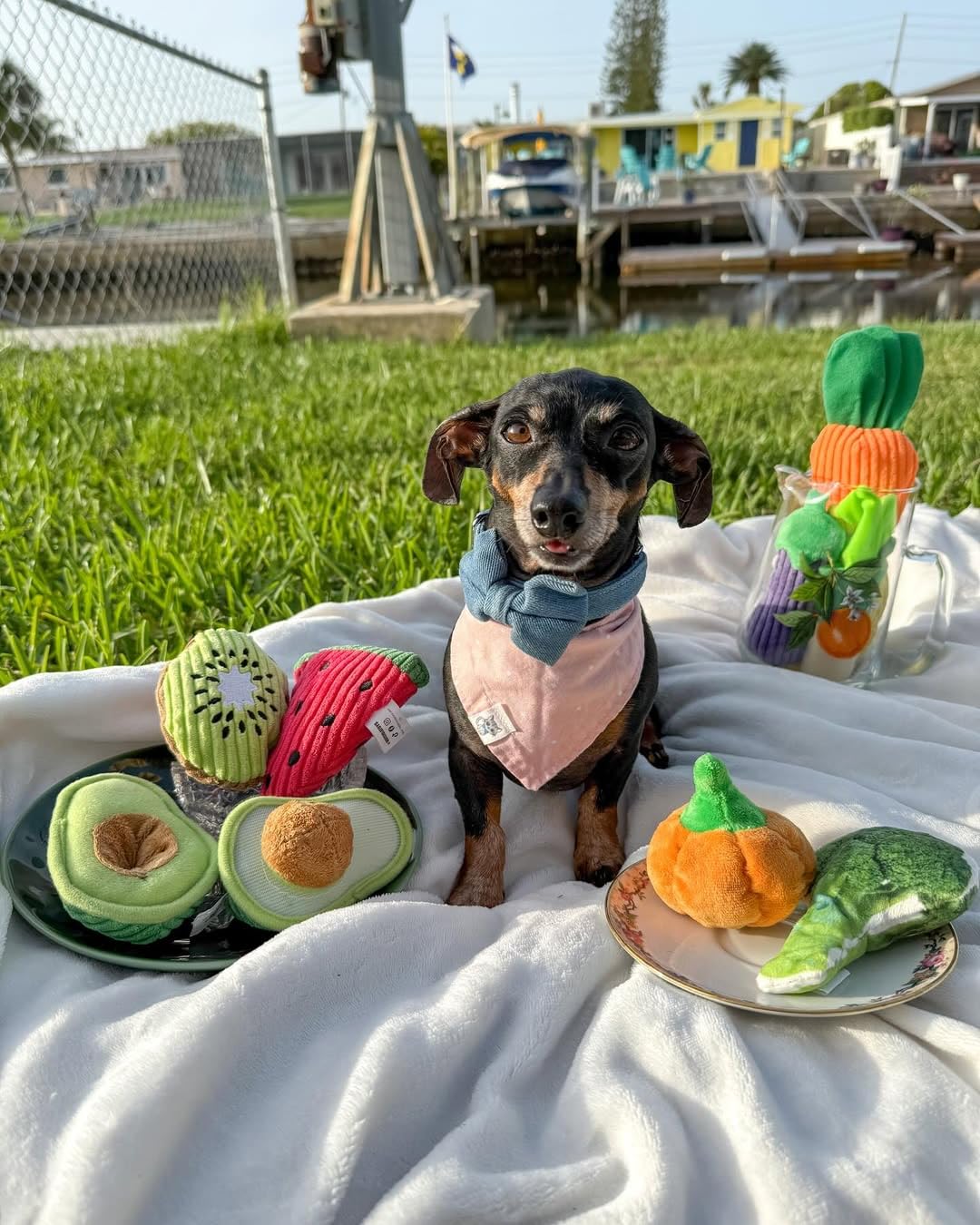Nocciola 15 Pack Grocery Bag Fruits and Vegetables Crinkle Dog Squeaky Toys, Small Dog Toys for Aggressive Chewers, Durable Plush Christmas Dog Toys for Small Medium Size Dogs, Puppy Dog Chew Toys 🍁 All In One Marketplace Canada
