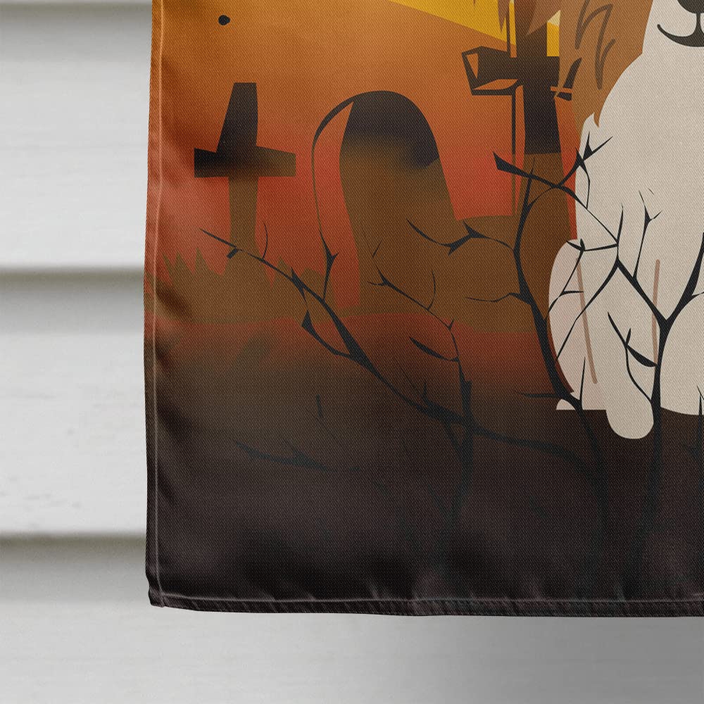 Drapeau de maison en toile Caroline's Treasures BB4344CHF Halloween Papillon Rouge Blanc, Grand, Multicolore