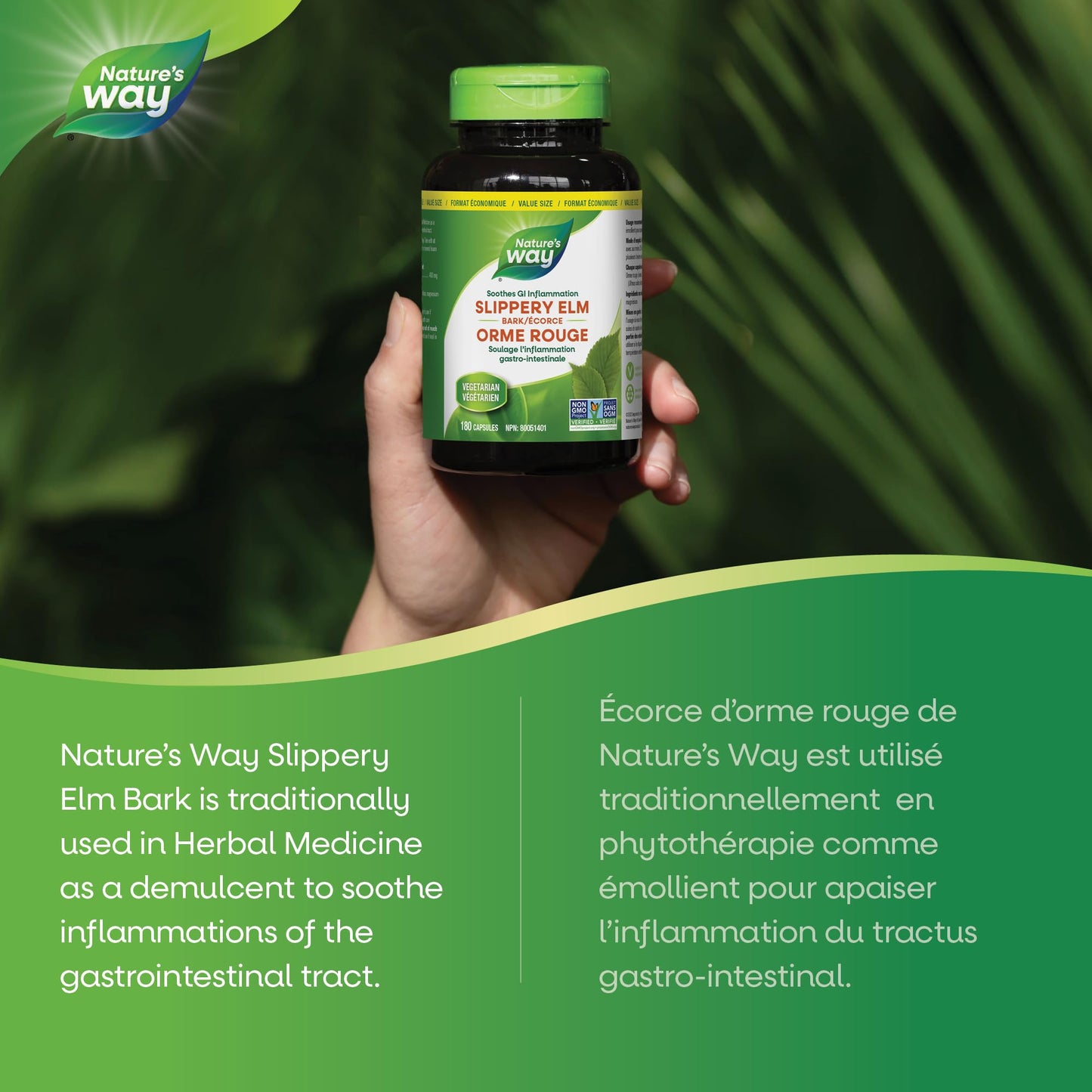 Nature’s Way Slippery Elm Bark – Traditionally Used to Soothe GI Tract Inflammation – Vegetarian, Non-GMO– 180 Capsules Nature's Way