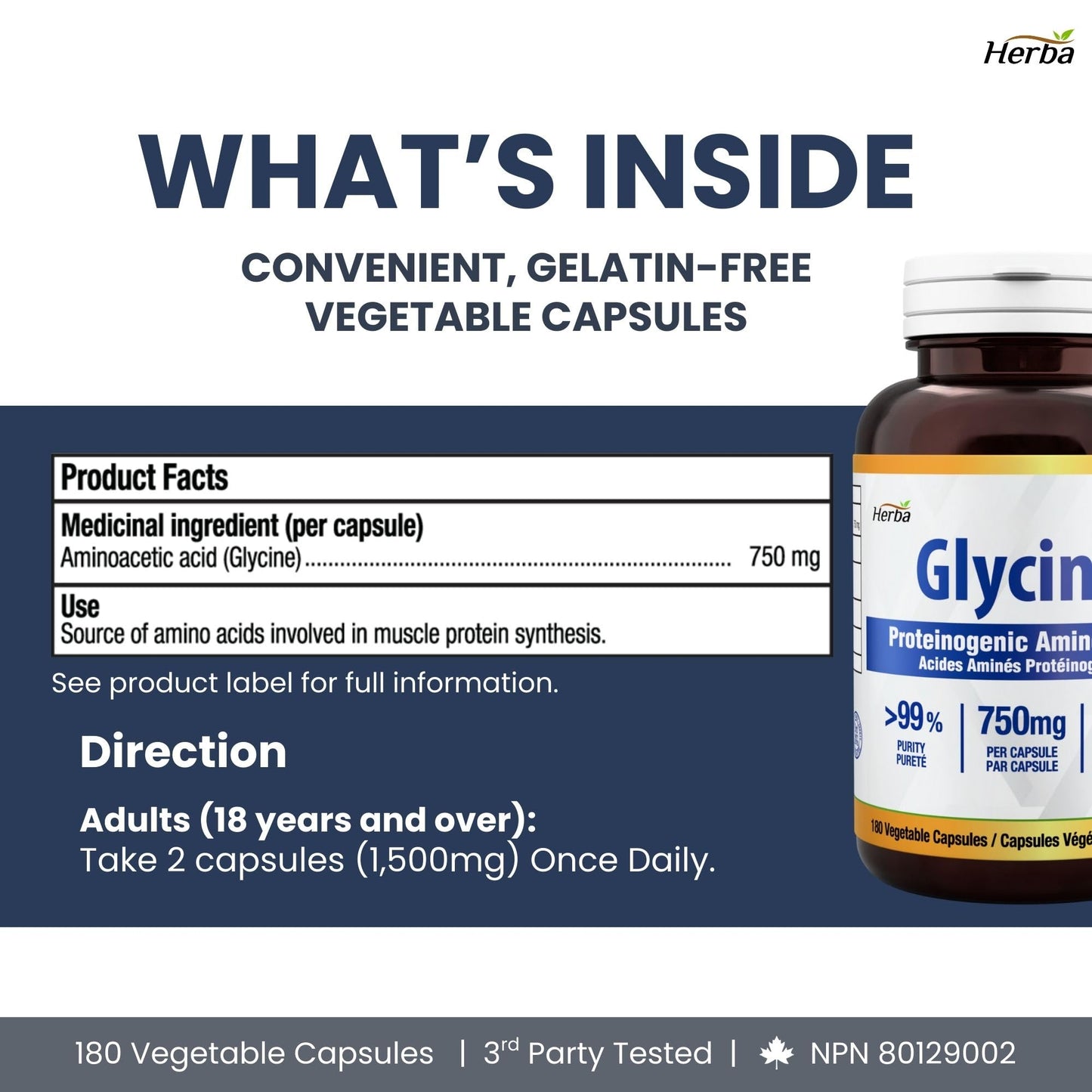 Herba Glycine Supplement 750mg - 180 Capsules | >99% Ultra Pure Glycine Capsules | Free-form Proteinogenic Amino Acids Supplements | Made in Canada - Available at All In One Marketplace Canada