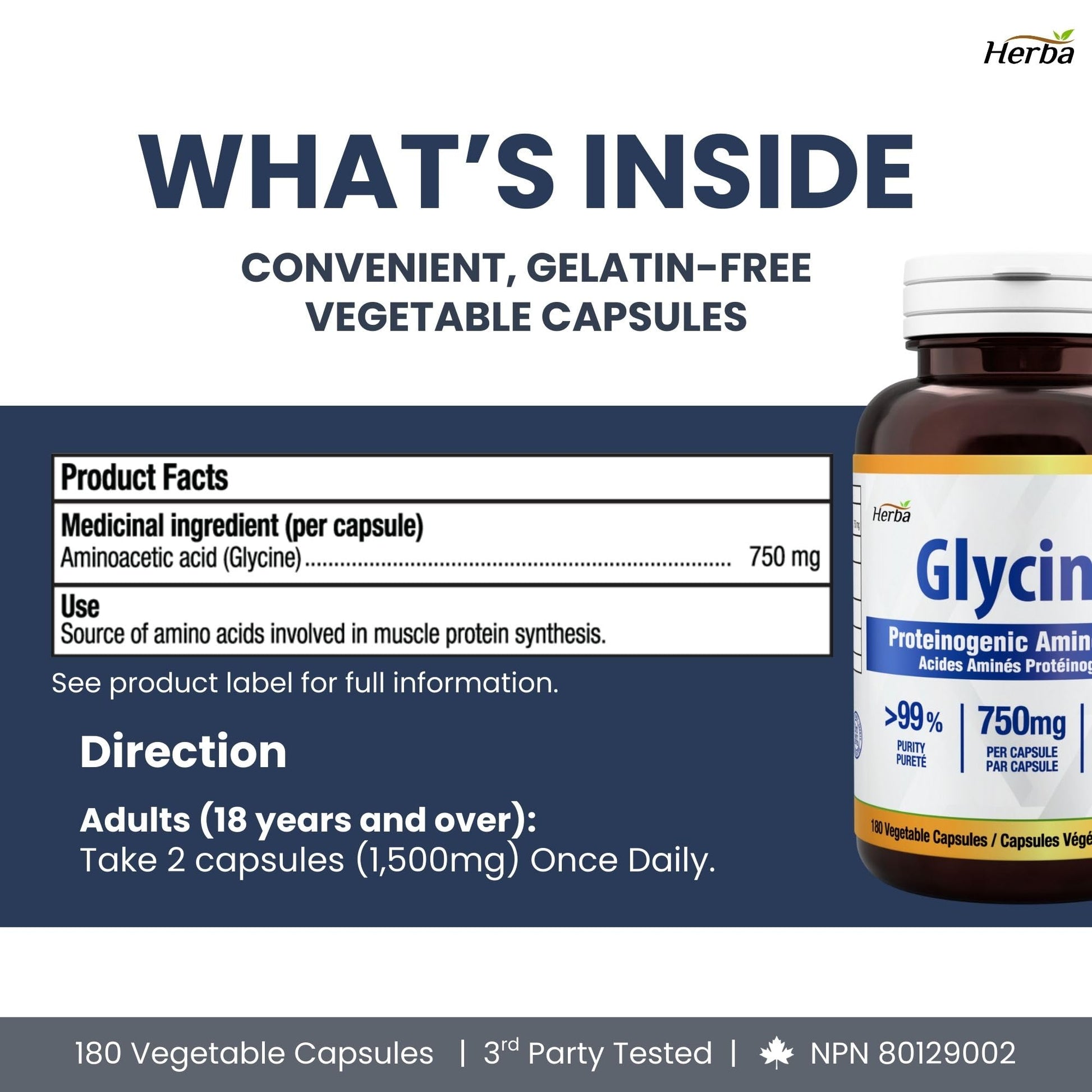 Herba Glycine Supplement 750mg - 180 Capsules | >99% Ultra Pure Glycine Capsules | Free-form Proteinogenic Amino Acids Supplements | Made in Canada - Available at All In One Marketplace Canada