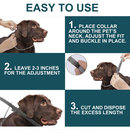 2 Pack Adjustable Collars for Dog, Prevention for 16 Months, Waterproof, 63.5cm for Small, Medium and Large Dogs, Over 7 Weeks Old Use - Available at All In One Marketplace Canada