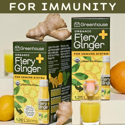 Greenhouse Juice Organic Fiery Ginger Wellness Shot 1.26L - Immunity & Anti-Inflammatory Blend with Turmeric, Lemon, Black Pepper & Oregano (2-Pack Bag-in-Box)