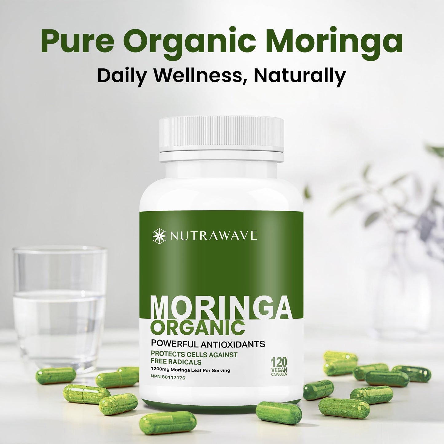 Nutrawave ORGANIC MORINGA LEAF Capsules 1200mg High Potency (2 x 600mg) – Gluten Free, Non-GMO, Vegan-Friendly Antioxidant Supplement -120 Capsules - Available at All In One Marketplace Canada