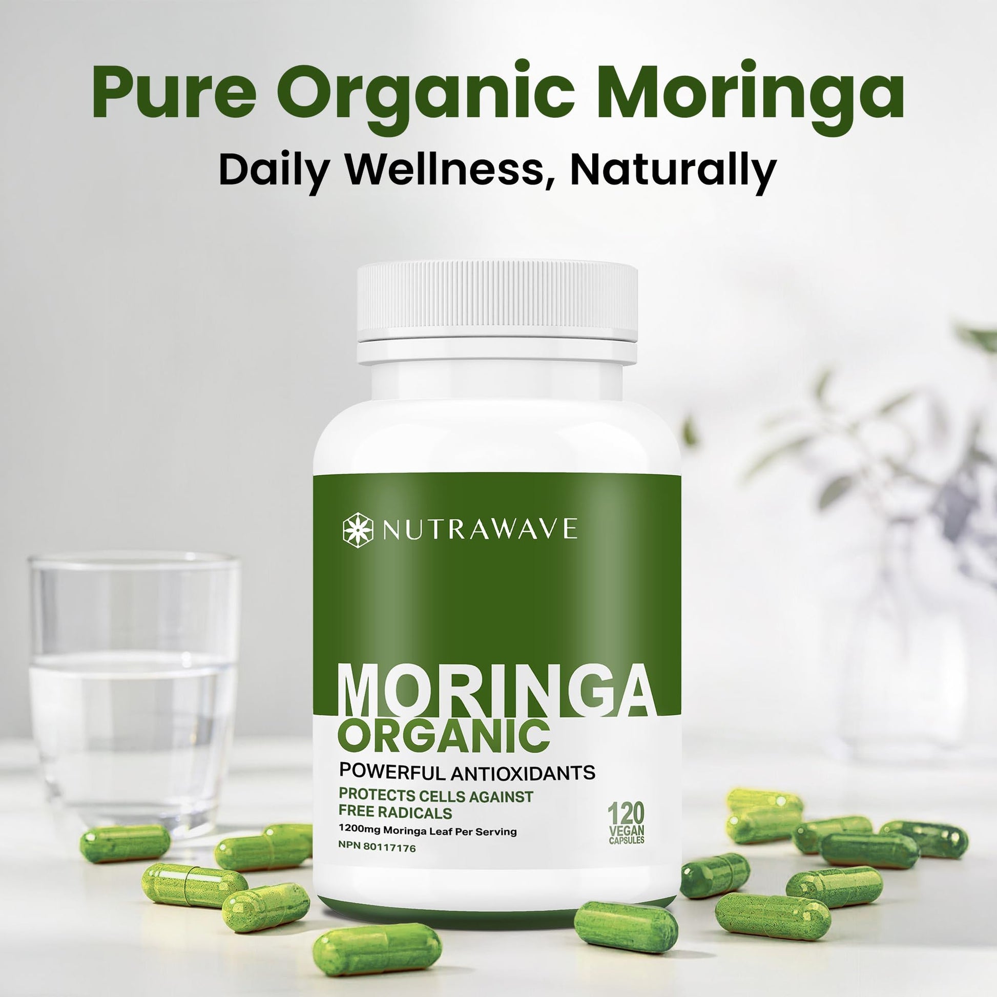 Nutrawave ORGANIC MORINGA LEAF Capsules 1200mg High Potency (2 x 600mg) – Gluten Free, Non-GMO, Vegan-Friendly Antioxidant Supplement -120 Capsules - Available at All In One Marketplace Canada