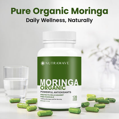 Nutrawave ORGANIC MORINGA LEAF Capsules 1200mg High Potency (2 x 600mg) – Gluten Free, Non-GMO, Vegan-Friendly Antioxidant Supplement -120 Capsules - Available at All In One Marketplace Canada