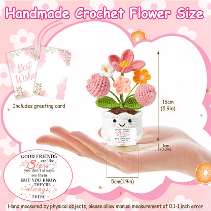 Best Friend Friendship Gifts for Women Crochet Flowers Small Birthday Gifts for Women Her Christmas Galentines Graduation Gifts for Friends Colleague Bestie Cute Stuff Desk Room Decor 🍁 All In One Marketplace Canada