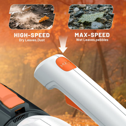 Litheli 20V Cordless Leaf Blower, 355CFM 85MPH 2-Speed, Handheld Electric Blower for Lawn Care Patio Dust Leaf Cleaning, Powered by 2×2.0Ah Batteries