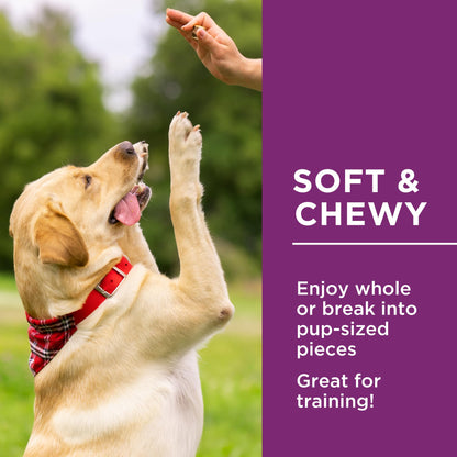 Dog Delights Chewy Chicken Sticks, All Natural & Preservative Free Training Dog Treats - 1.25 kg Dog Delights
