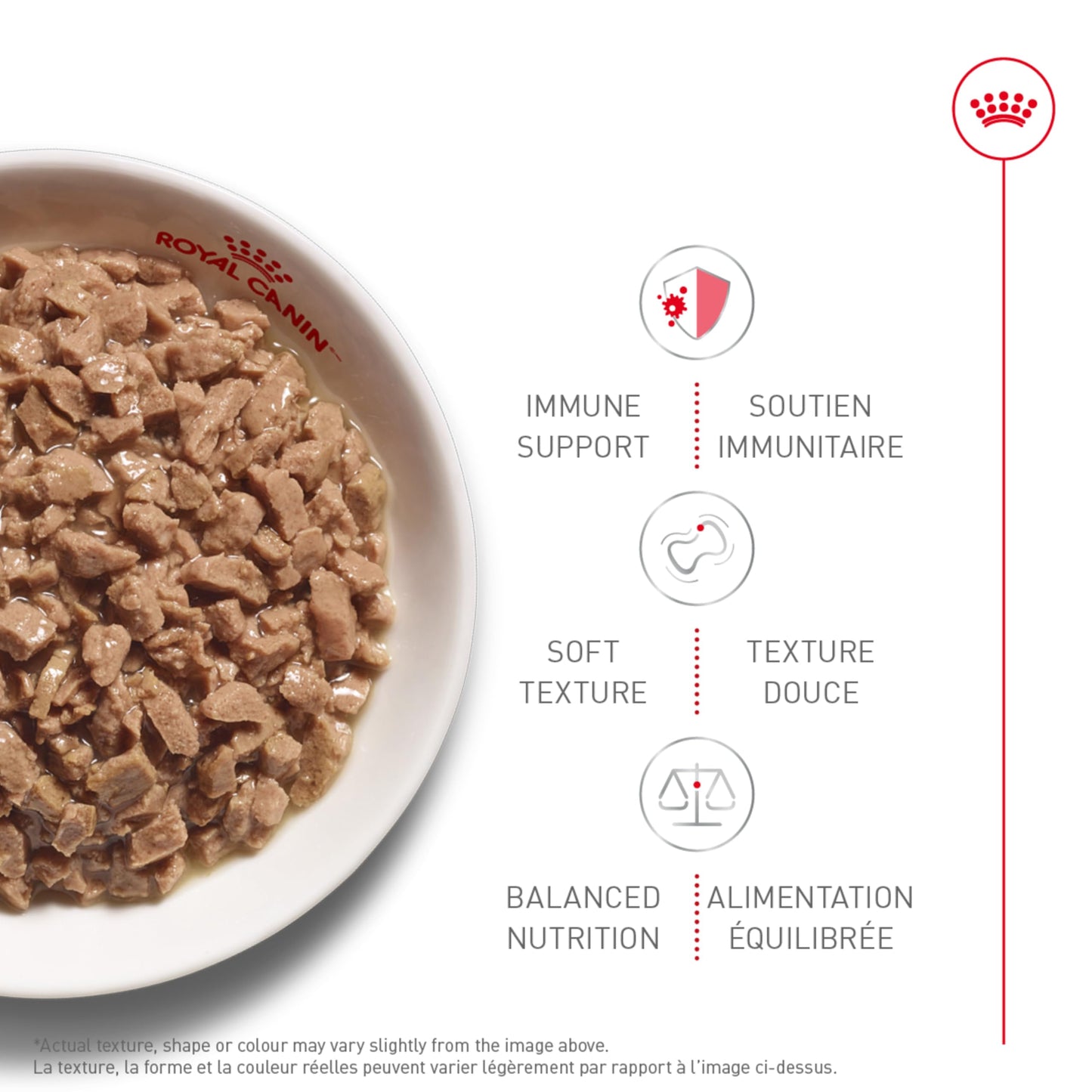 Royal Canin Feline Health Nutrition Kitten Thin Slices in Gravy Canned Cat Food, 3 oz can (12-Count)