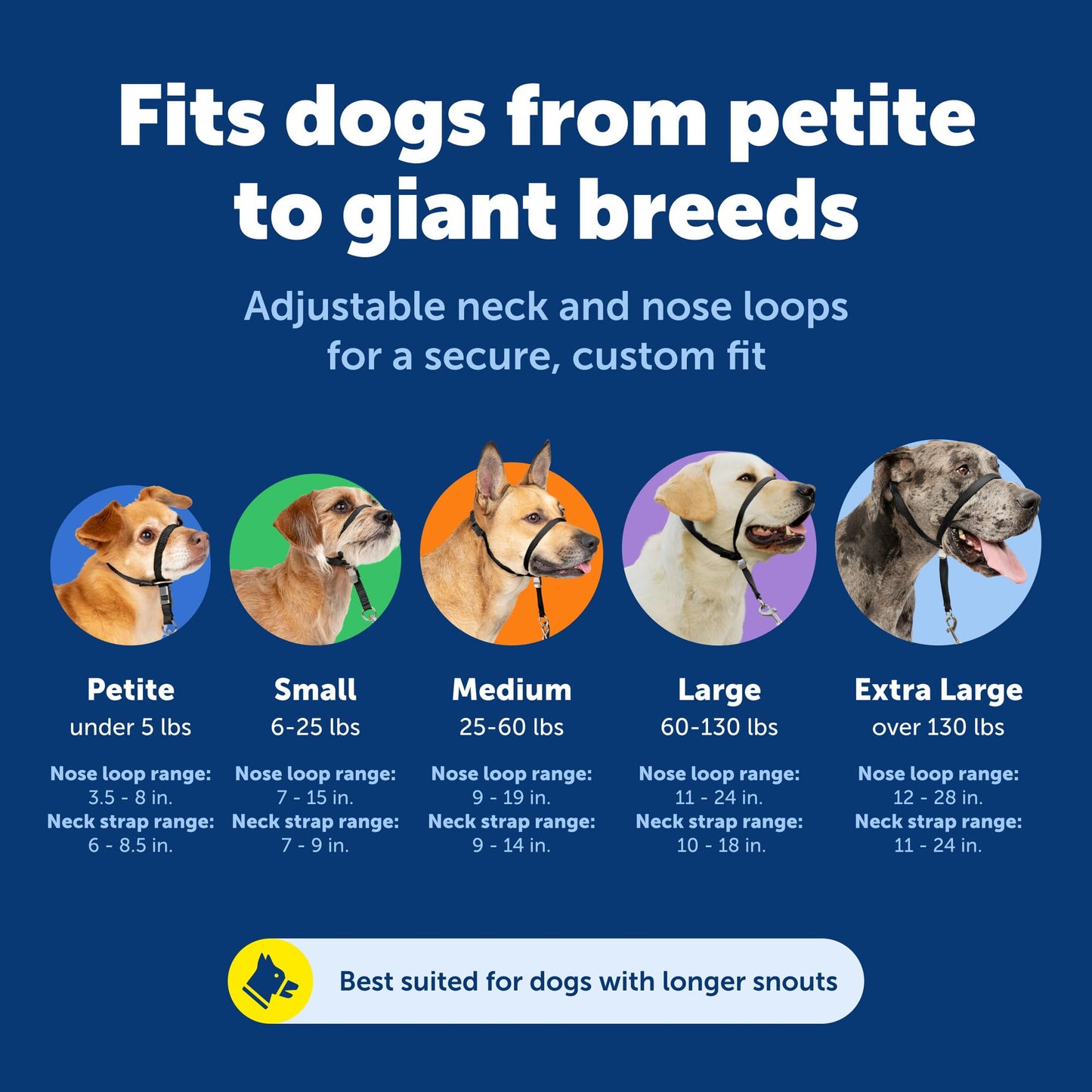 PetSafe Gentle Leader No-Pull Dog Headcollar - The Ultimate Solution to Pulling - Redirects Your Dog's Pulling for Easier Walks - Helps You Regain Control - Large, Charcoal 🍁 All In One Marketplace Canada