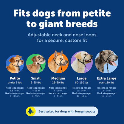 PetSafe Gentle Leader No-Pull Dog Headcollar - The Ultimate Solution to Pulling - Redirects Your Dog's Pulling for Easier Walks - Helps You Regain Control - Large, Charcoal 🍁 All In One Marketplace Canada