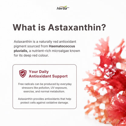 Herba Astaxanthin Supplement 15mg – 60 Vegan Capsules | Made with Non-GMO Micro-algae | Source of Antioxidant | Made and Third Party Tested in Canada - Available at All In One Marketplace Canada