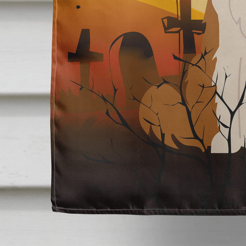 Caroline's Treasures BB4385CHF Halloween Border Collie Red White Flag Canvas House Size, Large, Multicolor