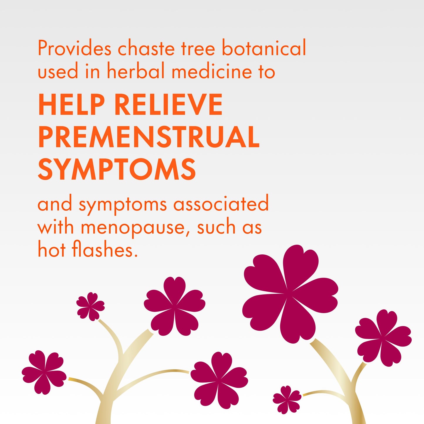 Align Probiotic, Women's Dual Action, Multi-Strain Probiotic, with Chaste Tree, Soothes Occasional Abdominal Discomfort, Gas, Bloating, 28 Capsules