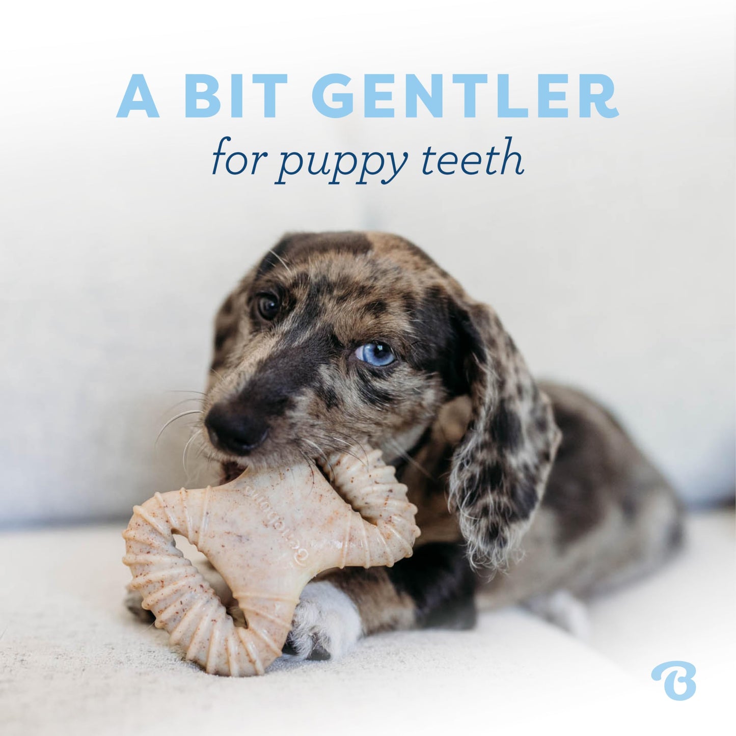 Benebone Puppy 2-Pack Dental Chew/Wishbone Dog Chew Toys, Real Bacon 🍁 All In One Marketplace Canada