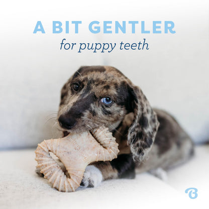 Benebone Puppy 2-Pack Dental Chew/Wishbone Dog Chew Toys, Real Bacon 🍁 All In One Marketplace Canada
