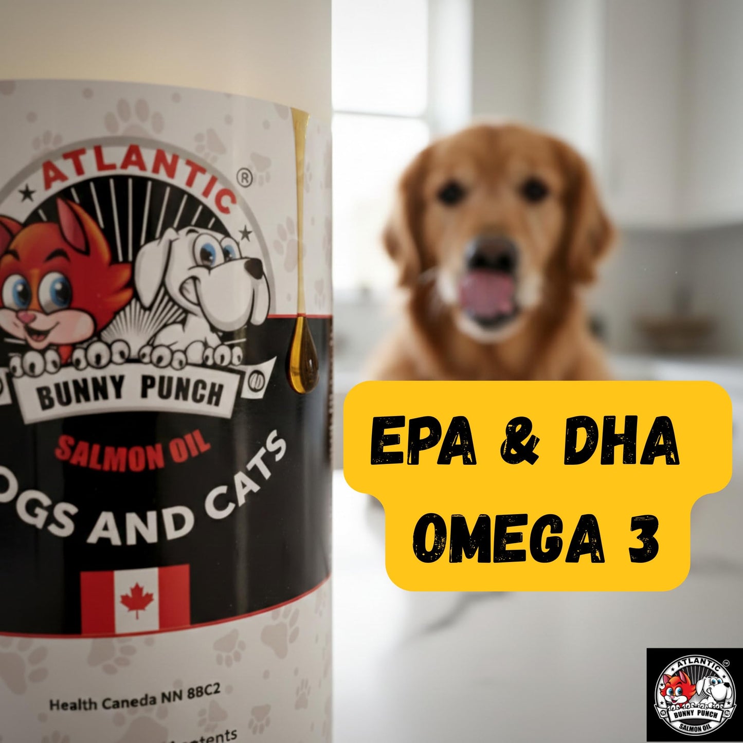 Bunny Punch Pure Atlantic Salmon Oil for Dogs & Cats - Liquid Food Topper - 32 oz - Available at All In One Marketplace Canada