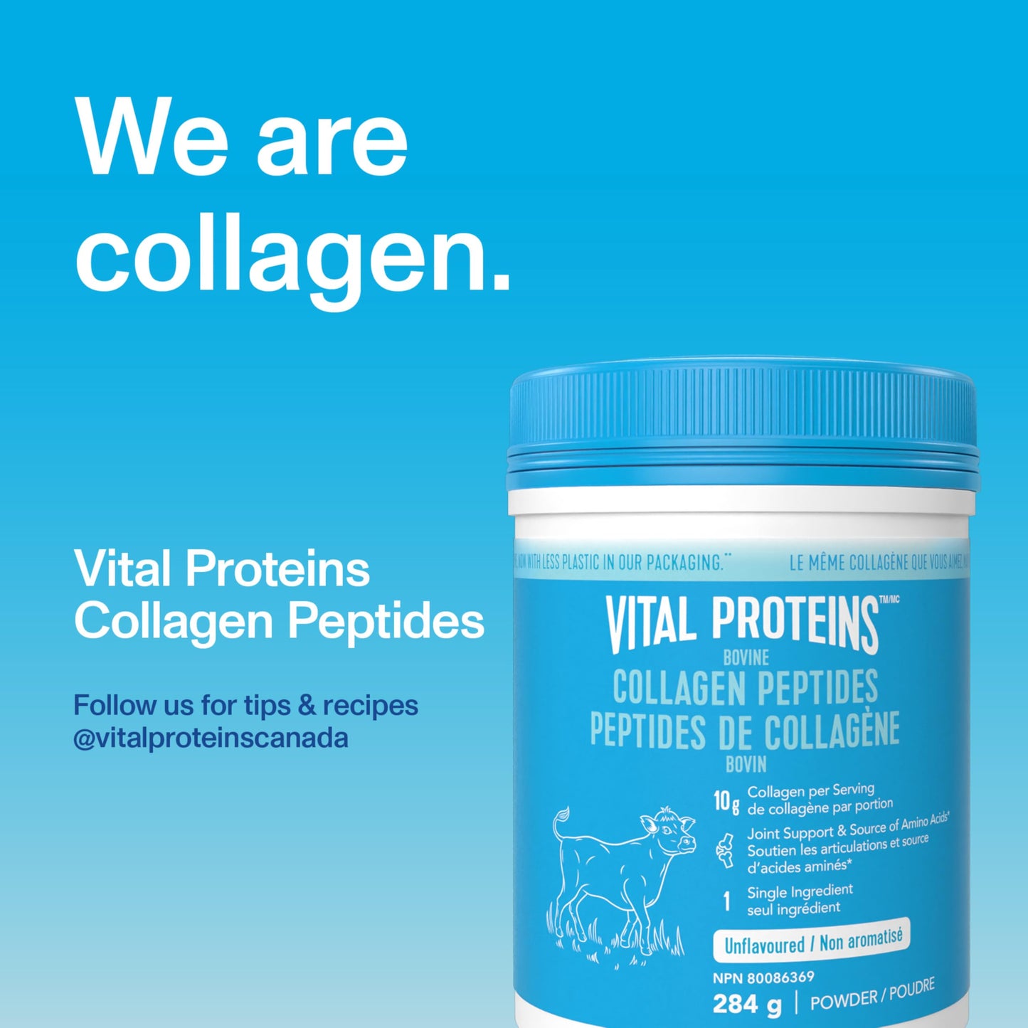 VITAL PROTEINS Bovine Collagen Powder, Hydrolyzed Collagen Per Serving - Unflavoured, 284 g
