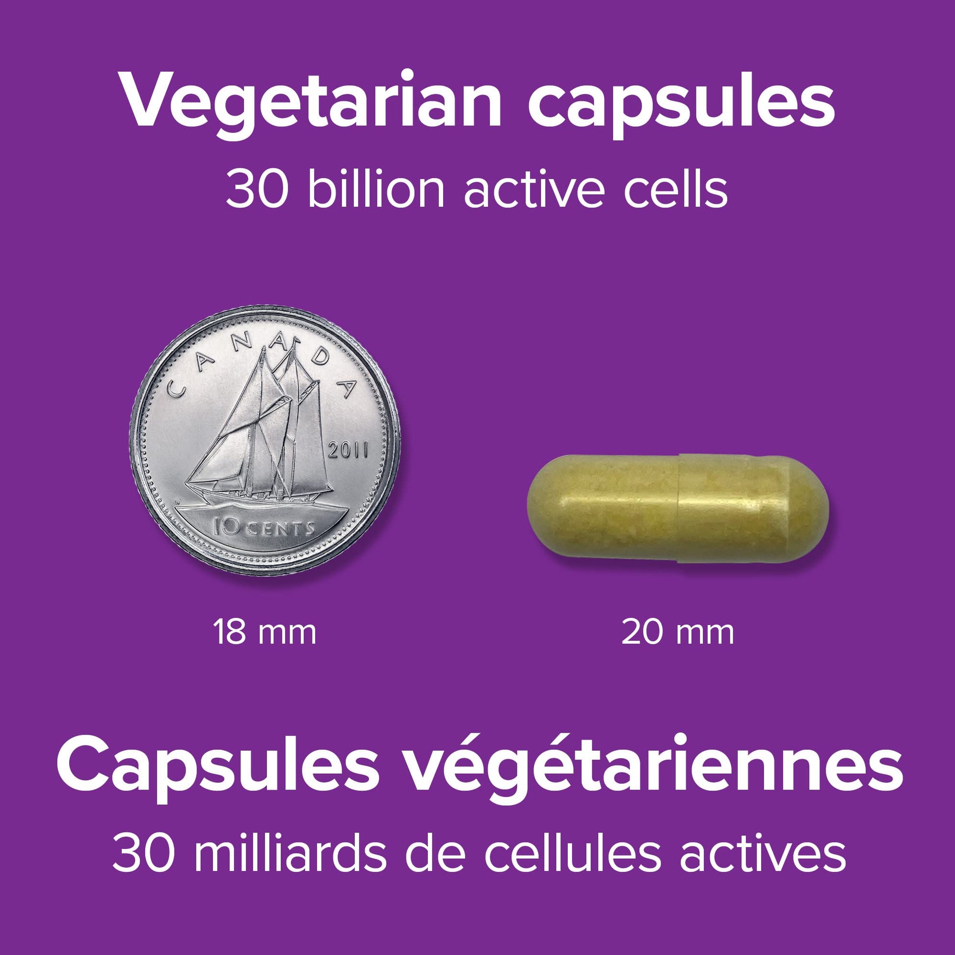 Webber Naturals Probiotic Max IBS Support, 30 Billion Active Cells, 5 Probiotic Strains, 45 Capsules, Helps Reduce Symptoms of Irritable Bowel Syndrome, Vegetarian - Available at All In One Marketplace Canada