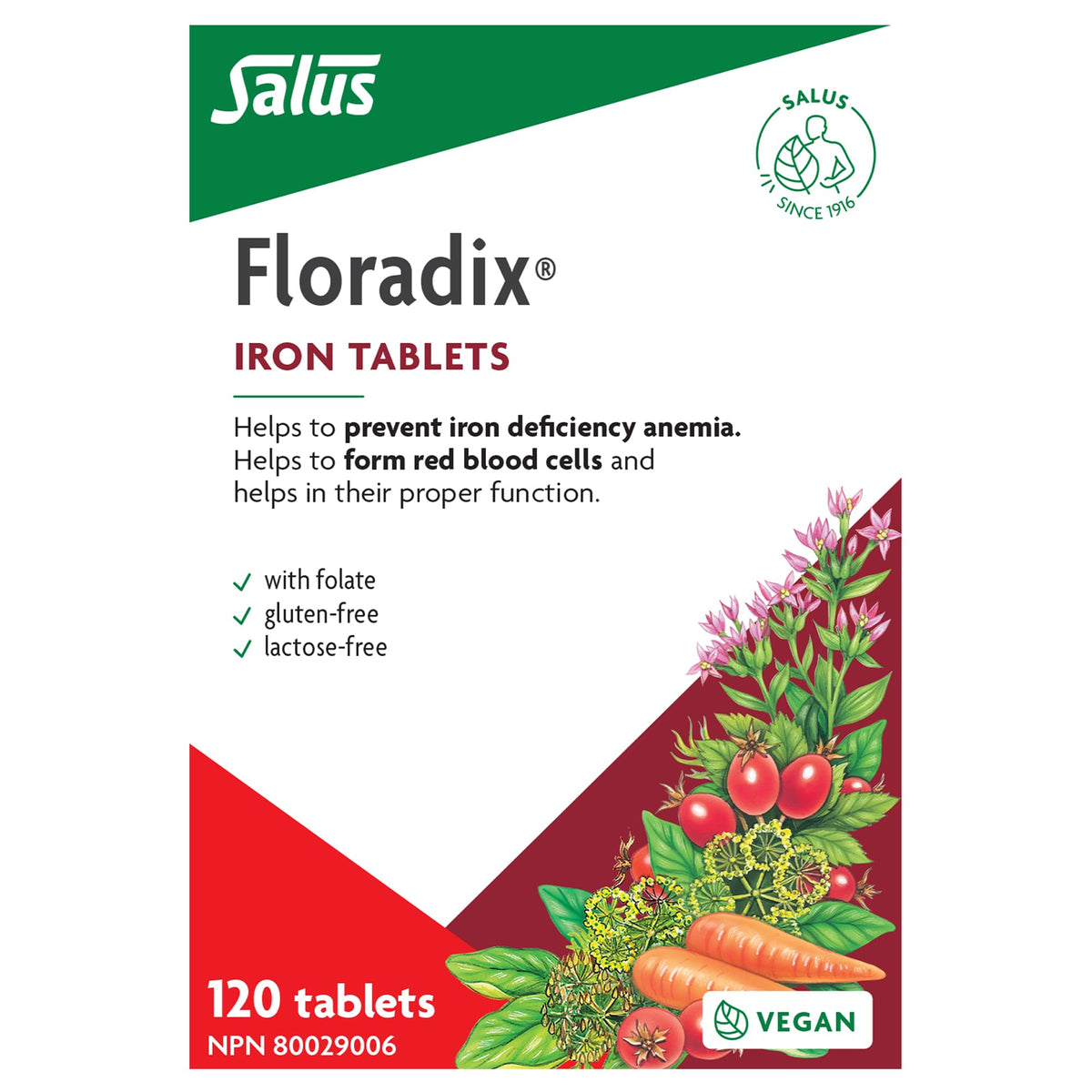 Salus Floradix Iron and Vitamins Tablets | Herbal Iron Supplement for Women, Men, and Children | Vegetarian, Gluten-Free, Yeast-Free & Non-GMO (120 Tablets)
