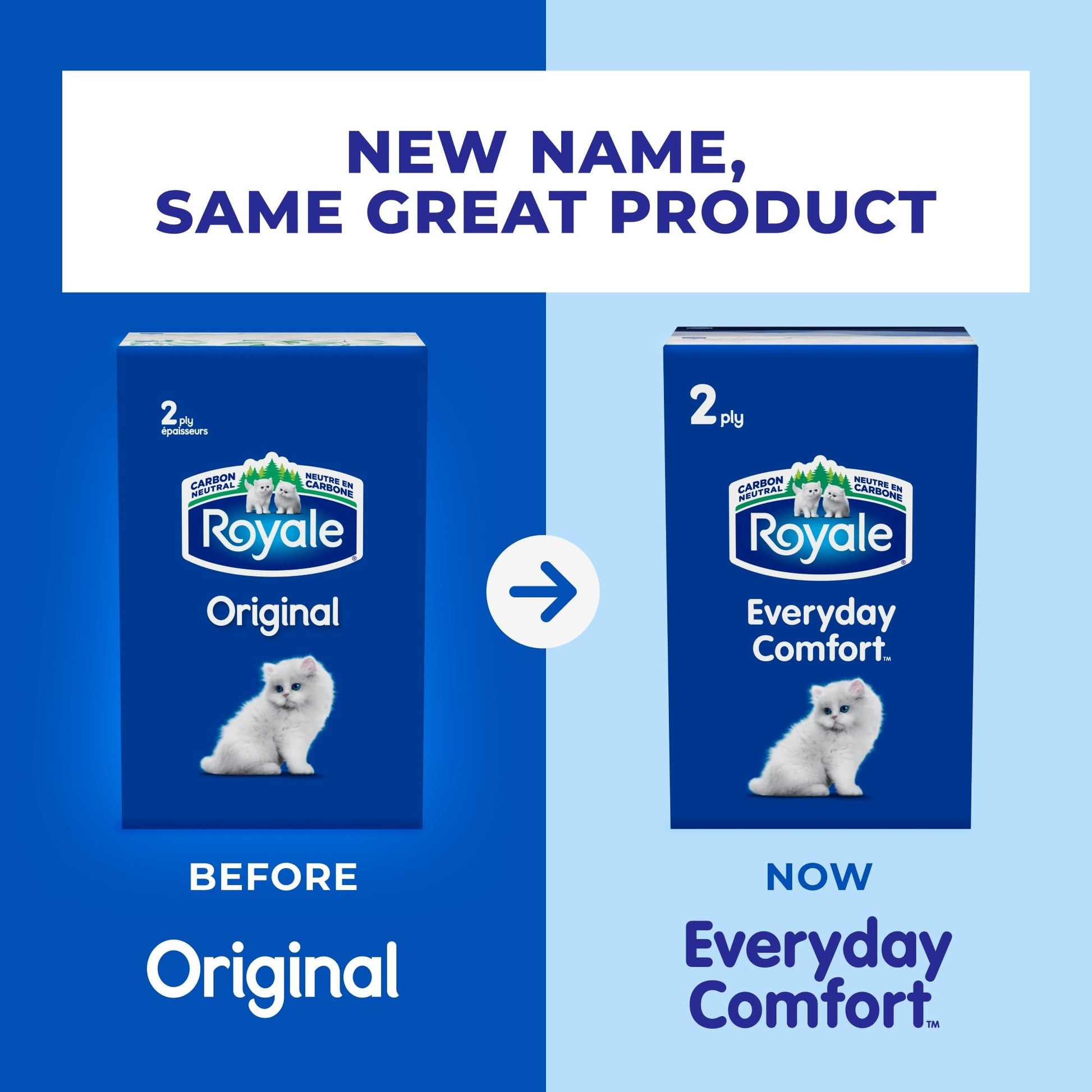 Royale Everyday Comfort 2 Ply Facial Tissue, 24 Tissue Boxes, 100 Tissues per Box - Available at All In One Marketplace Canada