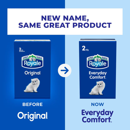 Royale Everyday Comfort 2 Ply Facial Tissue, 24 Tissue Boxes, 100 Tissues per Box - Available at All In One Marketplace Canada