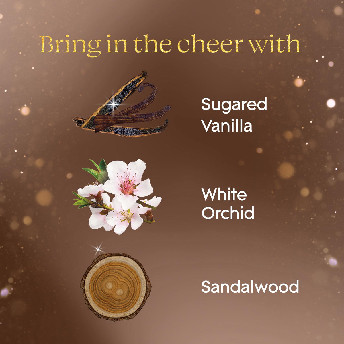Glade® Holiday Plugins Scented Oil Refill, Very Merry Vanilla™, 5 Refills 🍁 All In One Marketplace Canada