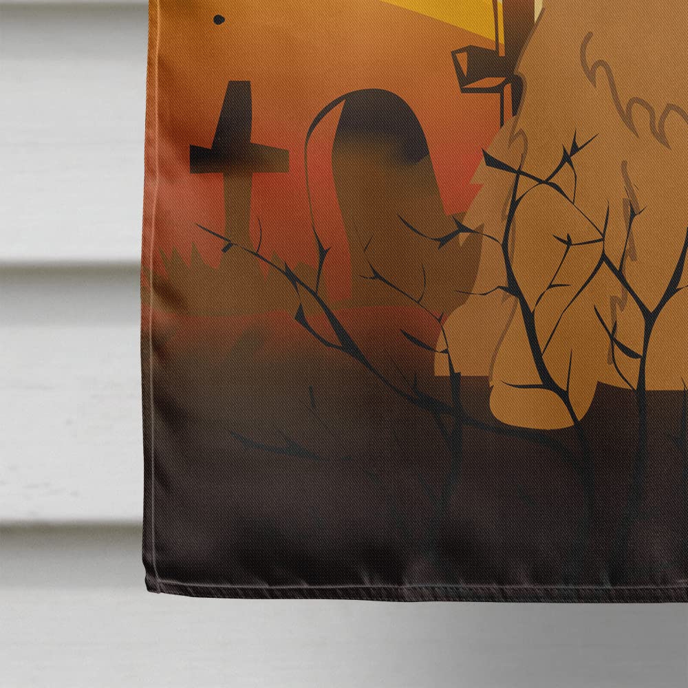 Drapeau de maison en toile Caroline's Treasures BB4361CHF Halloween Cocker Spaniel, grand, multicolore