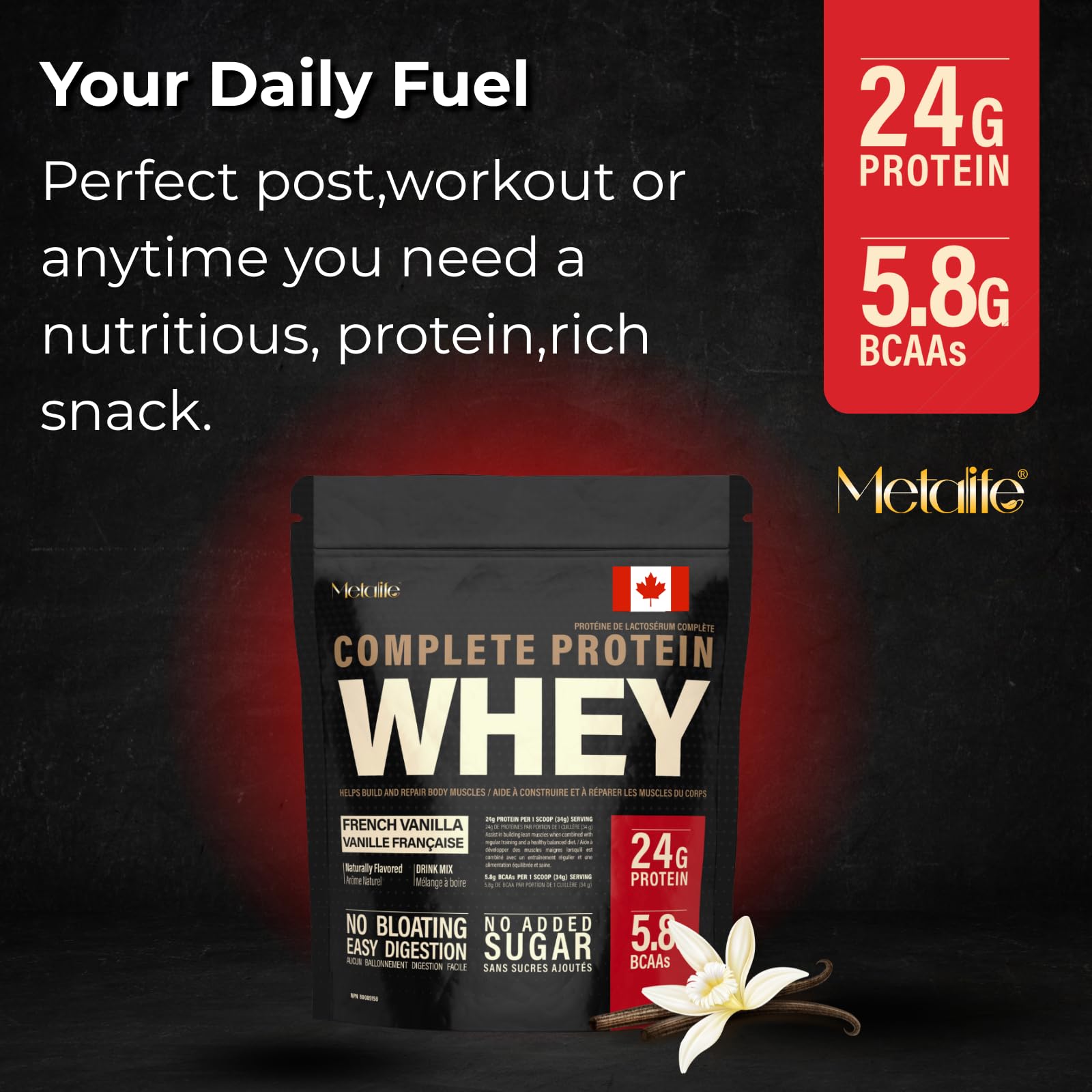 MetaLife Complete Whey Protein Powder – 24g Protein, 5.8g BCAAs, Sugar-Free, Gluten-Free, 714g (21 Servings) – French Vanilla
