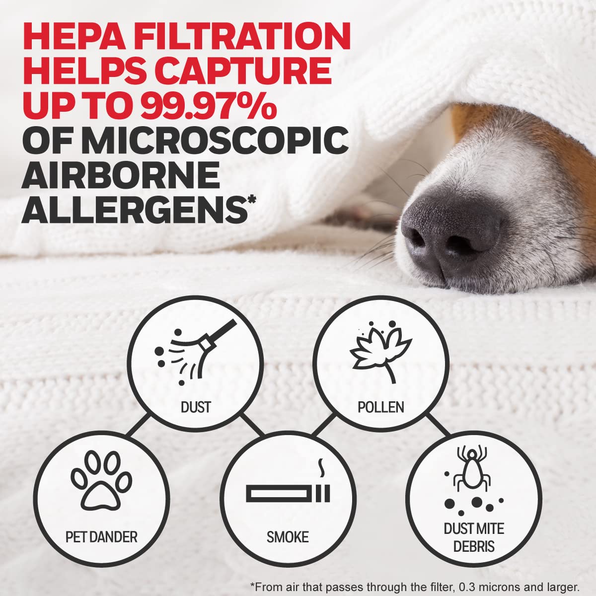 Honeywell HEPA Air Purifier Filter Kit Includes 3 HEPA R Replacement Filters and 4 A Carbon Pre-Cut Pre-Filters Airborne Allergen Air Filter Targets Wildfire/Smoke, Pollen, Pet Dander, and Dust Honeywell