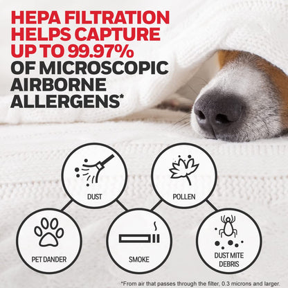 Honeywell HEPA Air Purifier Filter Kit Includes 3 HEPA R Replacement Filters and 4 A Carbon Pre-Cut Pre-Filters Airborne Allergen Air Filter Targets Wildfire/Smoke, Pollen, Pet Dander, and Dust Honeywell