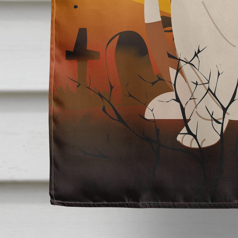 Drapeau de maison en toile Halloween Basset Hound, Caroline's Treasures BB4287CHF, taille grande, multicolore