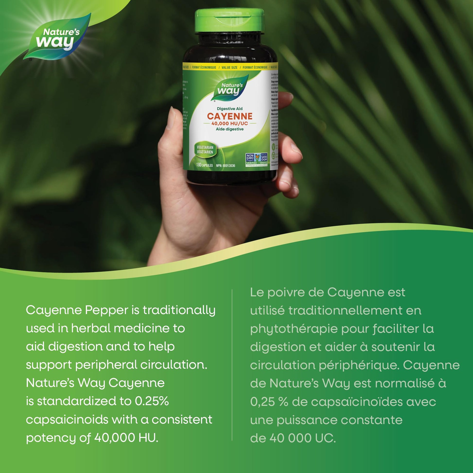 Nature’s Way Cayenne 40,000 HU – Herbal Digestion & Peripheral Circulation Supplement – Cayenne Pepper Capsules – Vegetarian, Non-GMO – 180 Capsules Nature's Way